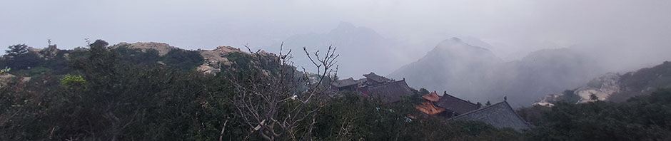 回首梦已远