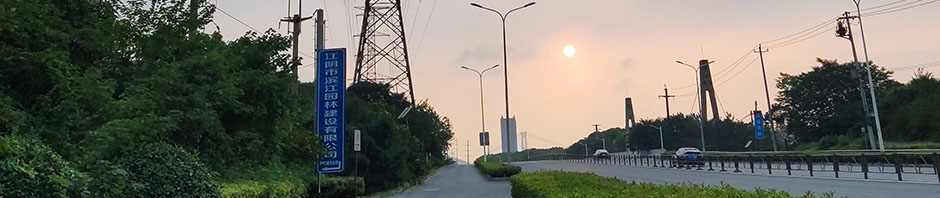 回首梦已远